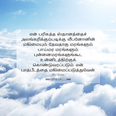 Picture 07 - ஏசாயா 60:13 TAMIRV - என் பரிசுத்த - Bible Verse Picture