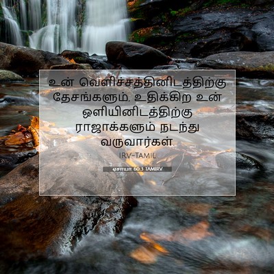 Picture 07 - ஏசாயா 60:3 TAMIRV - உன் - Bible Verse Picture