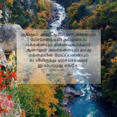 Picture 07 - ஏசாயா 63:11 TAMIRV - ஆகிலும் அவர் - Bible Verse Picture