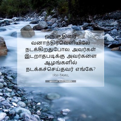 Picture 07 - ஏசாயா 63:13 TAMIRV - ஒரு குதிரை - Bible Verse Picture