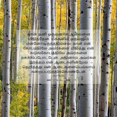 Picture 07 - ஏசாயா 63:3 TAMIRV - நான் தனி ஒருவனாக - Bible Verse Picture