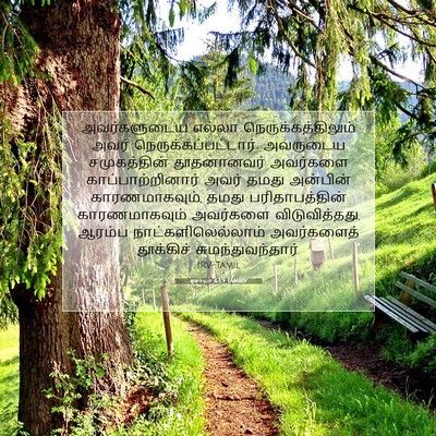 Picture 07 - ஏசாயா 63:9 TAMIRV - அவர்களுடைய எல்லா - Bible Verse Picture