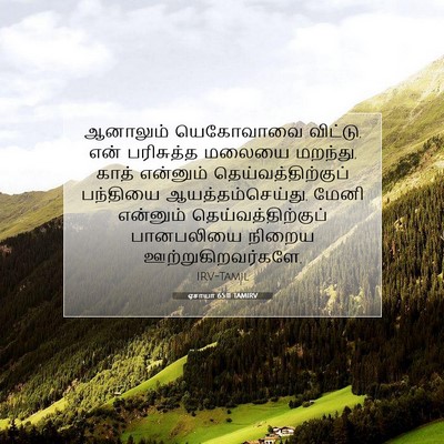 Picture 07 - ஏசாயா 65:11 TAMIRV - ஆனாலும் யெகோவாவை - Bible Verse Picture