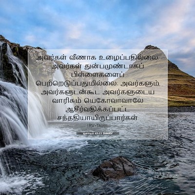 Picture 07 - ஏசாயா 65:23 TAMIRV - அவர்கள் வீணாக - Bible Verse Picture