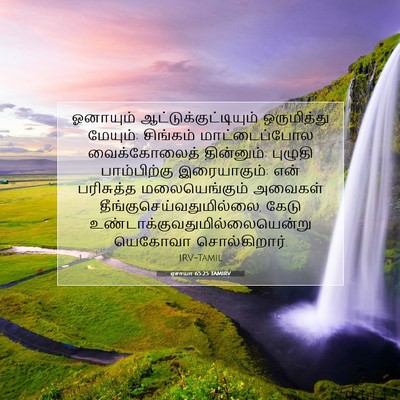 Picture 07 - ஏசாயா 65:25 TAMIRV - ஓனாயும் - Bible Verse Picture
