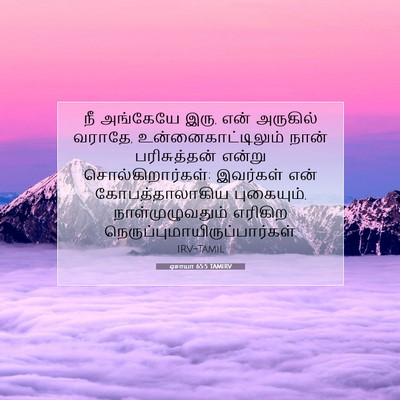 Picture 07 - ஏசாயா 65:5 TAMIRV - நீ அங்கேயே இரு, என் - Bible Verse Picture