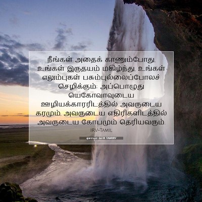 Picture 07 - ஏசாயா 66:14 TAMIRV - நீங்கள் அதைக் - Bible Verse Picture