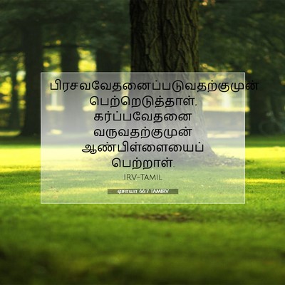 Picture 07 - ஏசாயா 66:7 TAMIRV -  - Bible Verse Picture