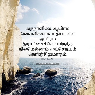 Picture 07 - ஏசாயா 7:23 TAMIRV - அந்நாளிலே, ஆயிரம் - Bible Verse Picture