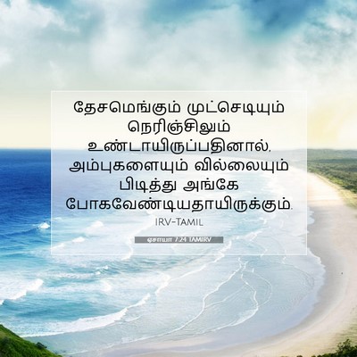 Picture 07 - ஏசாயா 7:24 TAMIRV - தேசமெங்கும் - Bible Verse Picture