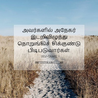 Picture 07 - ஏசாயா 8:15 TAMIRV - அவர்களில் அநேகர் - Bible Verse Picture