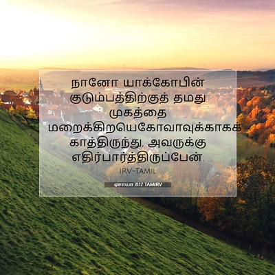 Picture 07 - ஏசாயா 8:17 TAMIRV - நானோ யாக்கோபின் - Bible Verse Picture