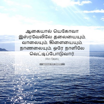 Picture 07 - ஏசாயா 9:14 TAMIRV - ஆகையால் யெகோவா - Bible Verse Picture