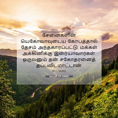 Picture 07 - ஏசாயா 9:19 TAMIRV - சேனைகளின் - Bible Verse Picture