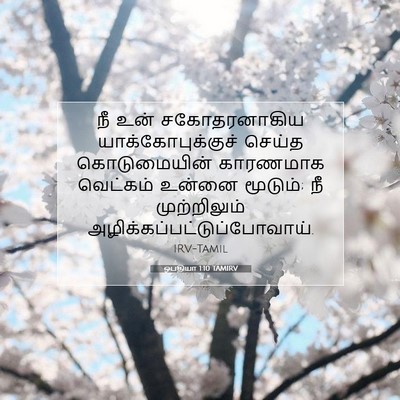 Picture 07 - ஒபதியா 1:10 TAMIRV - நீ உன் சகோதரனாகிய - Bible Verse Picture