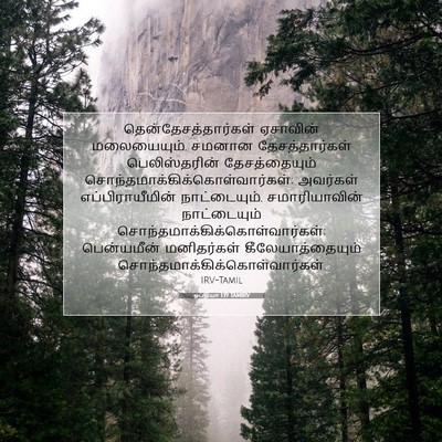 Picture 07 - ஒபதியா 1:19 TAMIRV - தென்தேசத்தார்கள் - Bible Verse Picture