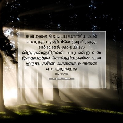 Picture 07 - ஒபதியா 1:3 TAMIRV - கன்மலை - Bible Verse Picture