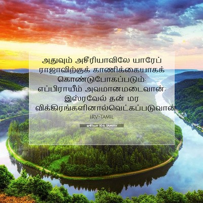 Picture 07 - ஓசியா 10:6 TAMIRV - அதுவும் - Bible Verse Picture