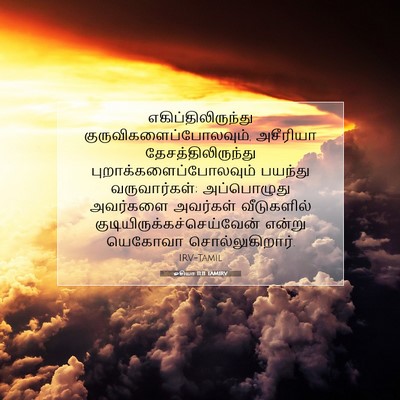 Picture 07 - ஓசியா 11:11 TAMIRV - எகிப்திலிருந்து - Bible Verse Picture