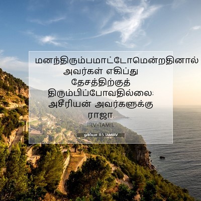 Picture 07 - ஓசியா 11:5 TAMIRV -  - Bible Verse Picture