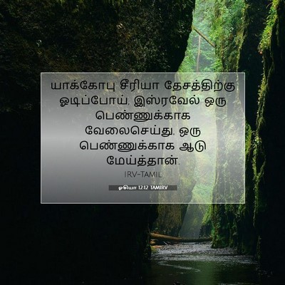Picture 07 - ஓசியா 12:12 TAMIRV - யாக்கோபு சீரியா - Bible Verse Picture