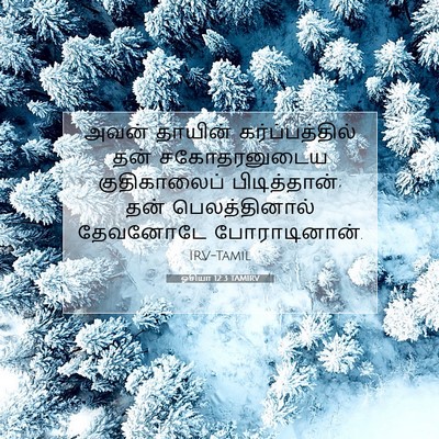 Picture 07 - ஓசியா 12:3 TAMIRV - அவன் தாயின் - Bible Verse Picture
