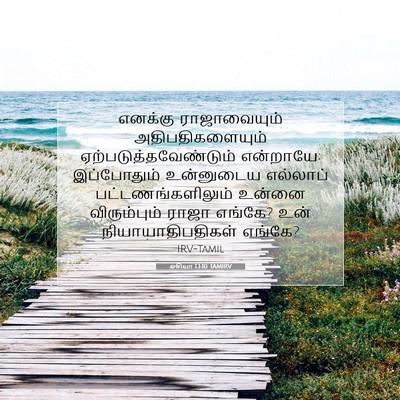 Picture 07 - ஓசியா 13:10 TAMIRV - எனக்கு ராஜாவையும் - Bible Verse Picture