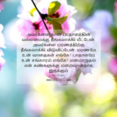 Picture 07 - ஓசியா 13:14 TAMIRV - அவர்களை நான் - Bible Verse Picture
