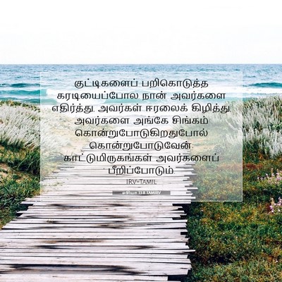 Picture 07 - ஓசியா 13:8 TAMIRV - குட்டிகளைப் - Bible Verse Picture