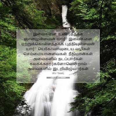 Picture 07 - ஓசியா 14:9 TAMIRV - இவைகளை உணரத்தக்க - Bible Verse Picture