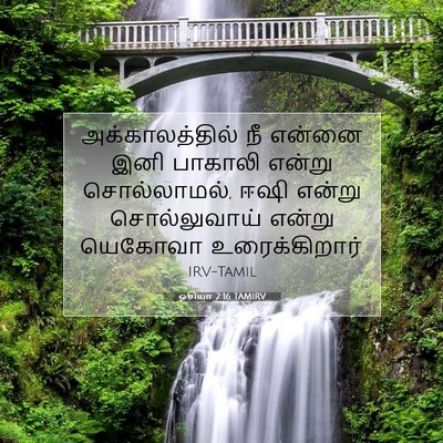 Picture 07 - ஓசியா 2:16 TAMIRV - அக்காலத்தில் நீ - Bible Verse Picture