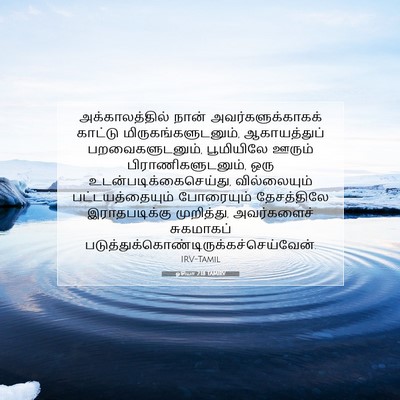 Picture 07 - ஓசியா 2:18 TAMIRV - அக்காலத்தில் நான் - Bible Verse Picture
