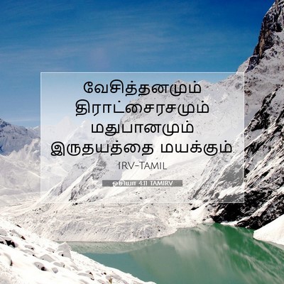 Picture 07 - ஓசியா 4:11 TAMIRV - வேசித்தனமும் - Bible Verse Picture