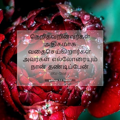 Picture 07 - ஓசியா 5:2 TAMIRV - நெறிதவறினவர்கள் - Bible Verse Picture