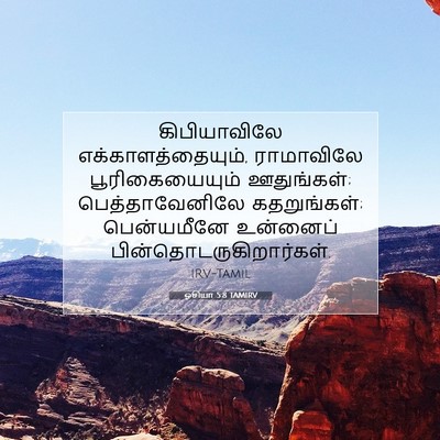 Picture 07 - ஓசியா 5:8 TAMIRV - கிபியாவிலே - Bible Verse Picture