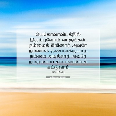 Picture 07 - ஓசியா 6:1 TAMIRV - யெகோவாவிடத்தில் - Bible Verse Picture