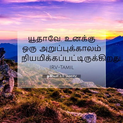 Picture 07 - ஓசியா 6:11 TAMIRV - யூதாவே, உனக்கு ஒரு - Bible Verse Picture