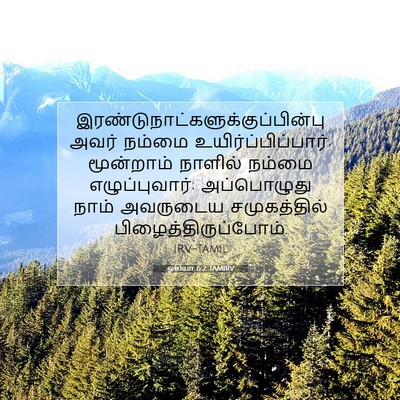 Picture 07 - ஓசியா 6:2 TAMIRV -  - Bible Verse Picture