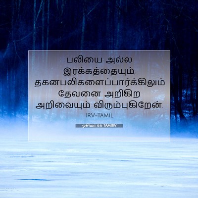 Picture 07 - ஓசியா 6:6 TAMIRV - பலியை அல்ல - Bible Verse Picture