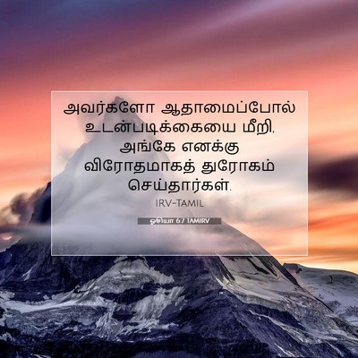 Picture 07 - ஓசியா 6:7 TAMIRV - அவர்களோ - Bible Verse Picture