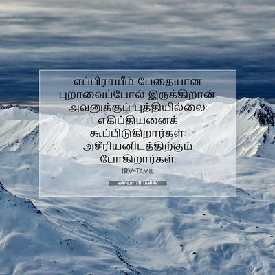 Picture 07 - ஓசியா 7:11 TAMIRV - எப்பிராயீம் - Bible Verse Picture