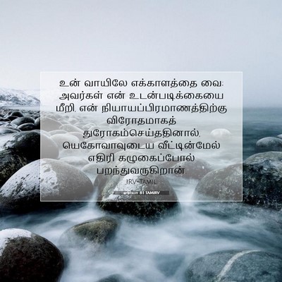 Picture 07 - ஓசியா 8:1 TAMIRV - உன் வாயிலே - Bible Verse Picture