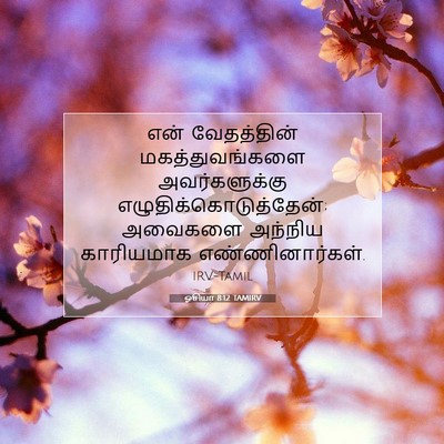 Picture 07 - ஓசியா 8:12 TAMIRV - என் வேதத்தின் - Bible Verse Picture