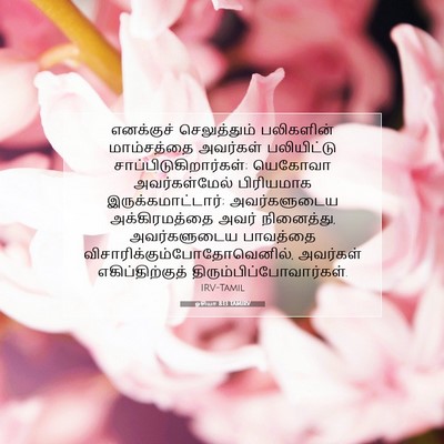 Picture 07 - ஓசியா 8:13 TAMIRV - எனக்குச் - Bible Verse Picture