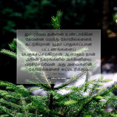 Picture 07 - ஓசியா 8:14 TAMIRV - இஸ்ரவேல் தன்னை - Bible Verse Picture