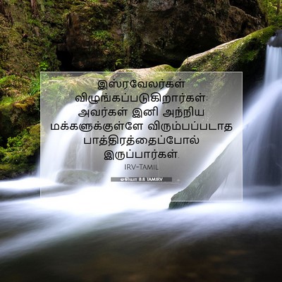 Picture 07 - ஓசியா 8:8 TAMIRV - இஸ்ரவேலர்கள் - Bible Verse Picture