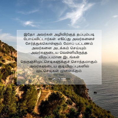 Picture 07 - ஓசியா 9:6 TAMIRV - இதோ, அவர்கள் - Bible Verse Picture