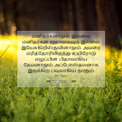 Picture 07 - கலாத்தியர் 1:1 TAMIRV - மனிதர்களாலும் - Bible Verse Picture