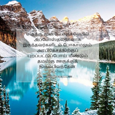 Picture 07 - கலாத்தியர் 1:17 TAMIRV - எனக்கு முன்பே - Bible Verse Picture