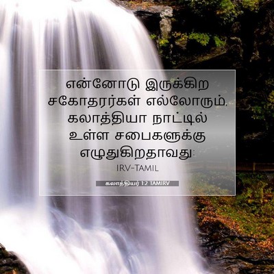 Picture 07 - கலாத்தியர் 1:2 TAMIRV - என்னோடு இருக்கிற - Bible Verse Picture